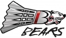 Badminton Bears